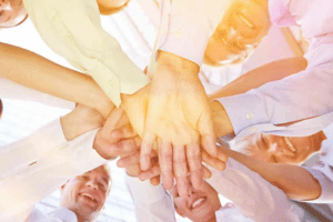 Belbin'S Team Roles Training Course in Croatia
